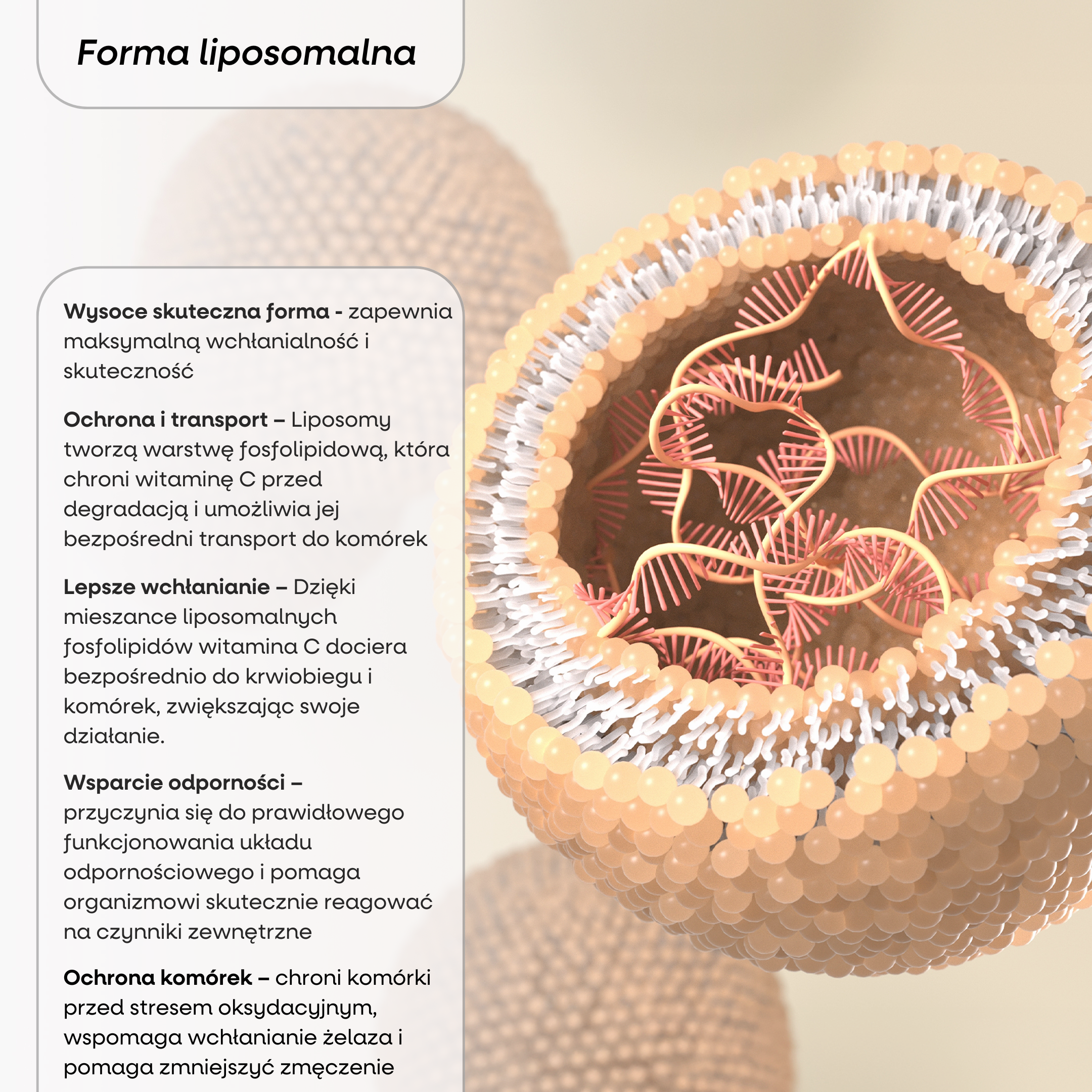 (Polština) (38)